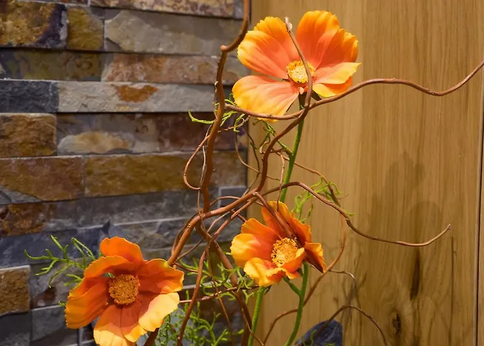 Penzion Haus Hochland Tux